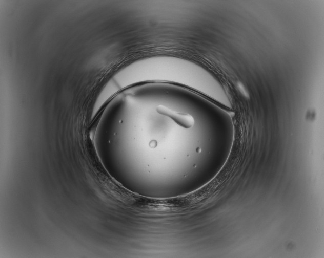 X0000098220316200805011240