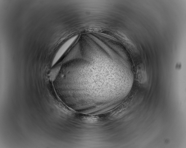 X0000098220318200805011240