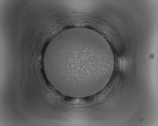 X0000098220319200805011240