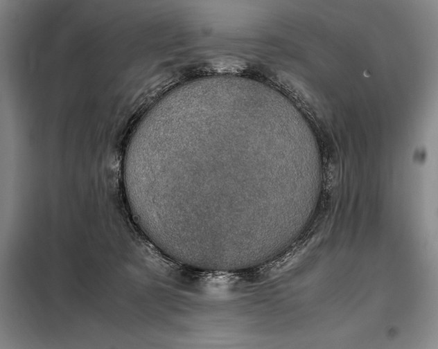 X0000098220321200805011240