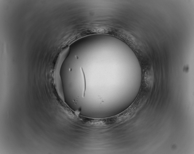 X0000098220322200805011240