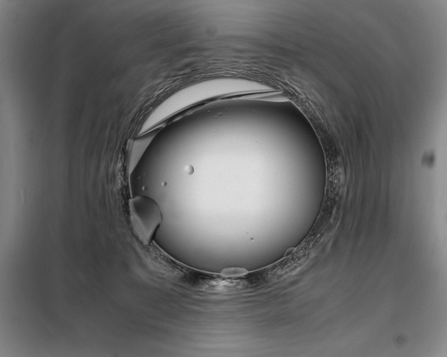 X0000098220323200805011240