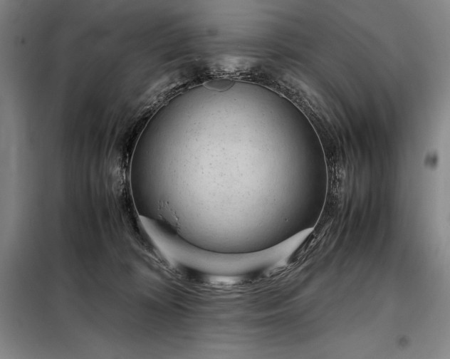 X0000098220324200805011240