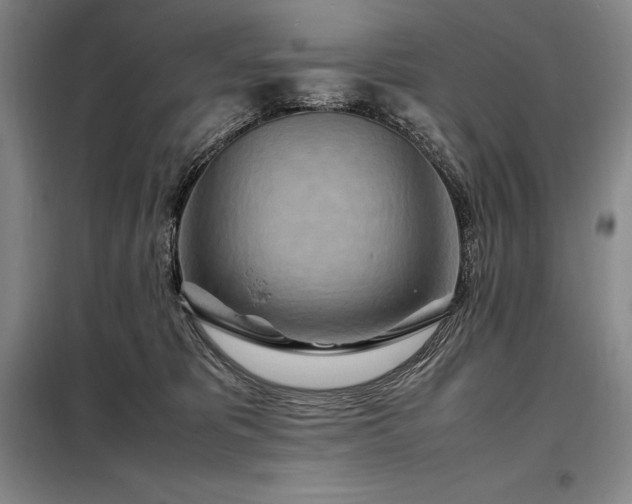 X0000098220325200805011240