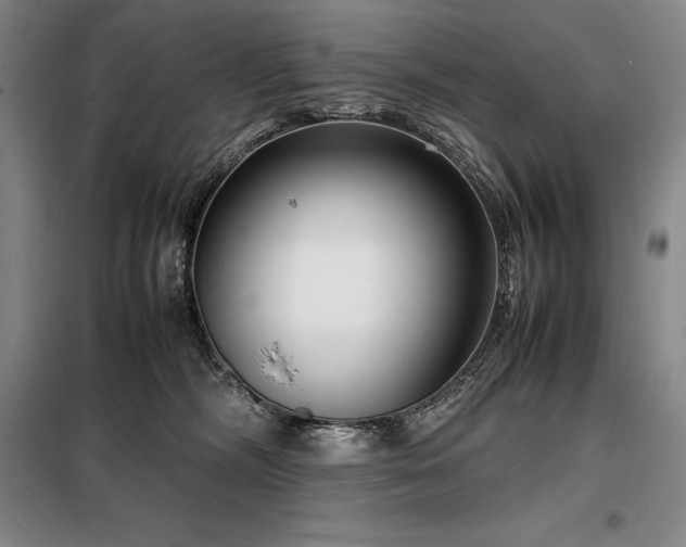 X0000098220326200805011240