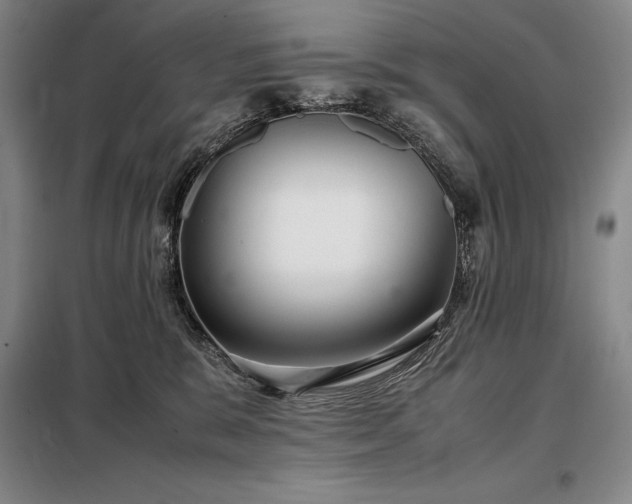 X0000098220327200805011240