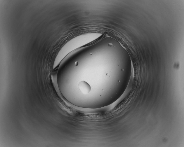 X0000098220328200805011240