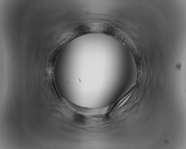 X0000098220329200805011240