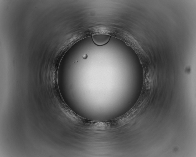 X0000098220330200805011240