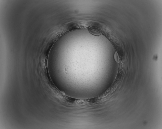 X0000098220331200805011240