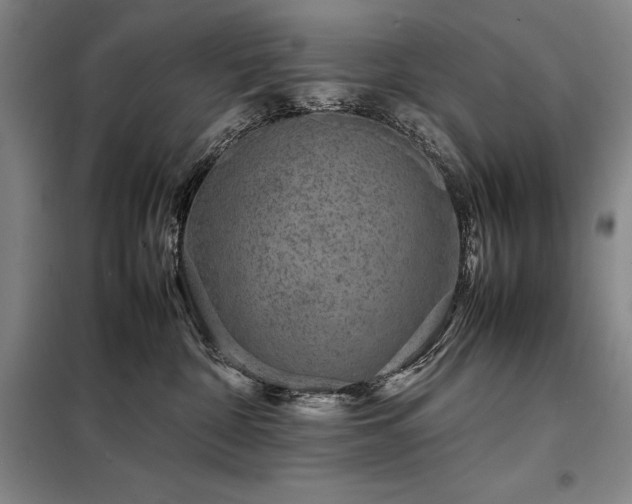 X0000098220332200805011240