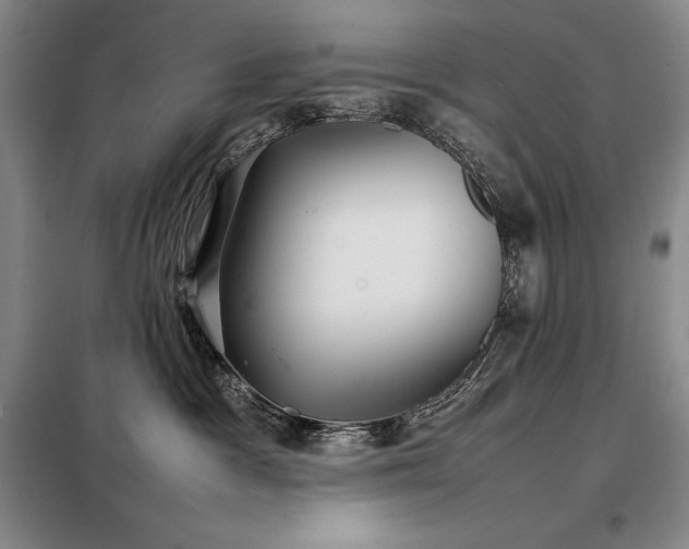 X0000098220333200805011240