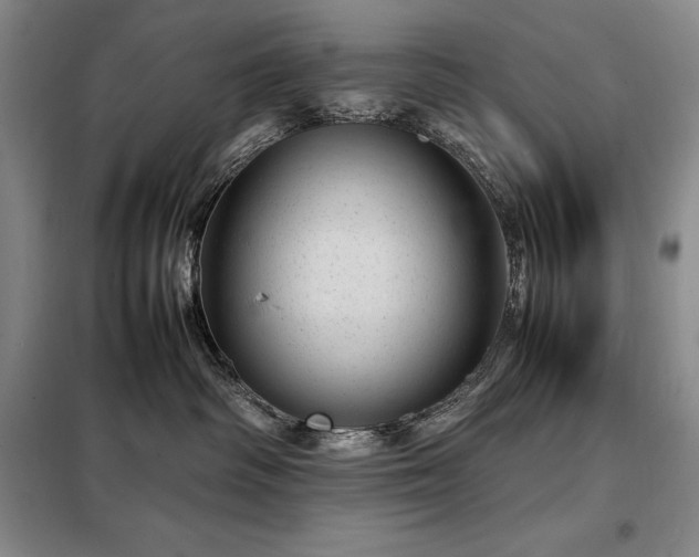 X0000098220334200805011240