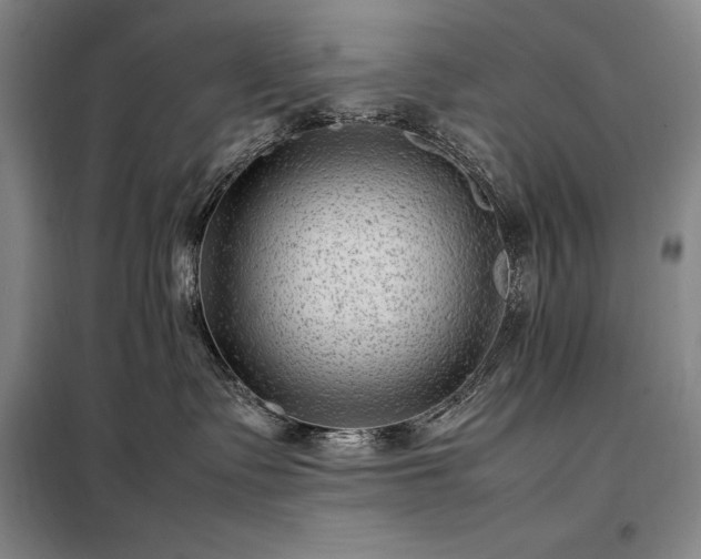 X0000098220335200805011240