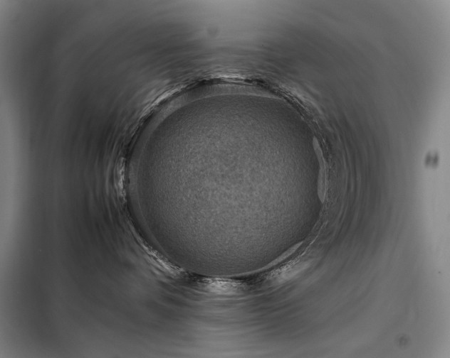 X0000098220336200805011240