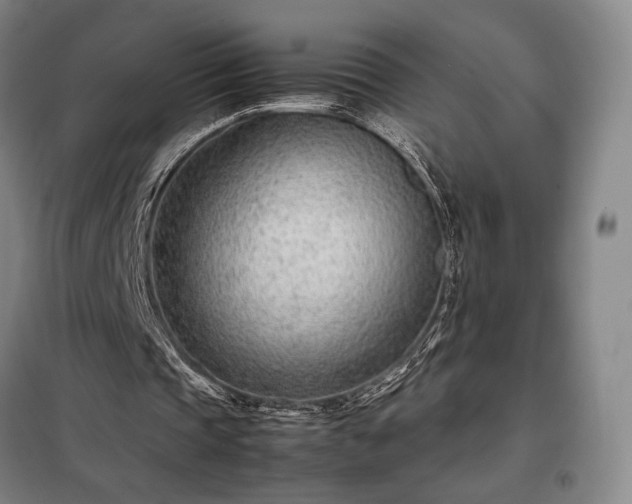 X0000098220337200805011239