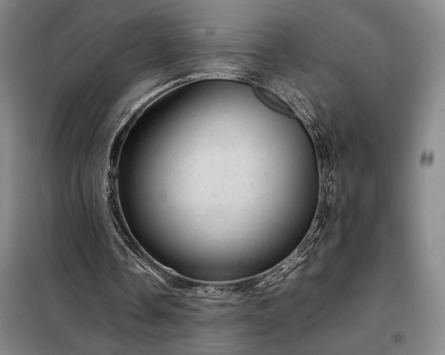 X0000098220338200805011239