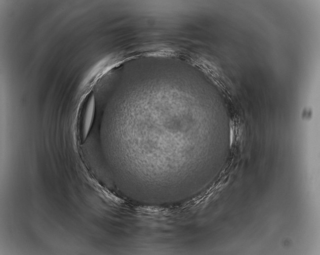 X0000098220339200805011239