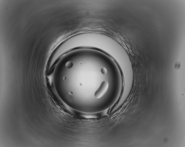 X0000098220340200805011239