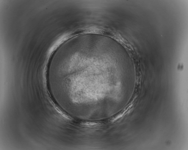 X0000098220341200805011239