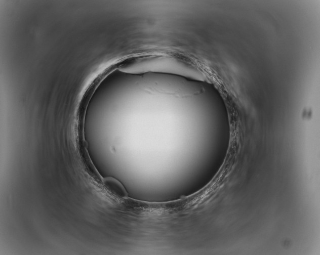 X0000098220342200805011239