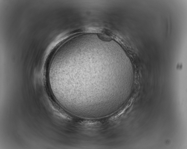 X0000098220343200805011239