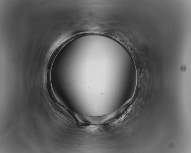 X0000098220344200805011239