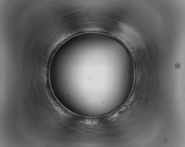 X0000098220345200805011239