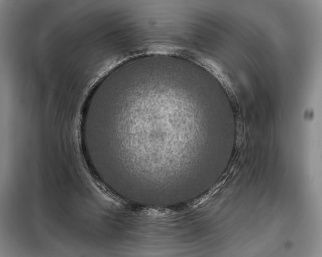 X0000098220346200805011239