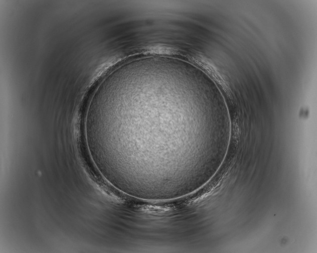 X0000098220347200805011239