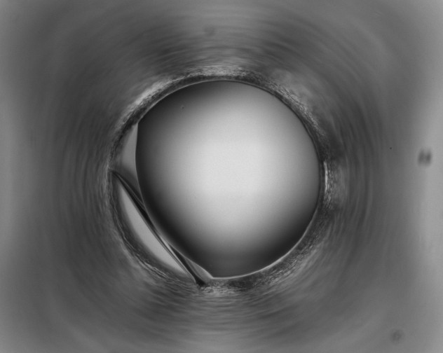 X0000098220348200805011239