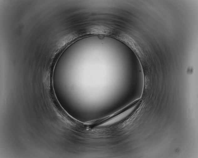 X0000098220349200805011239