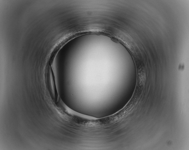 X0000098220350200805011239