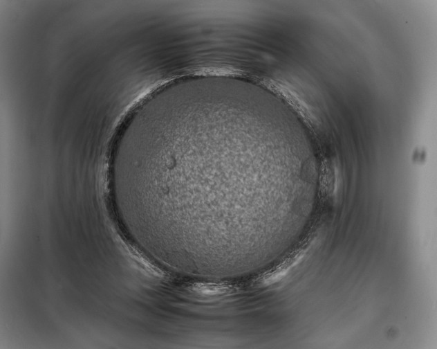 X0000098220351200805011239