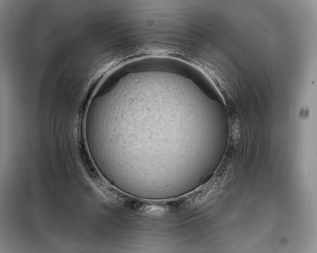 X0000098220352200805011239