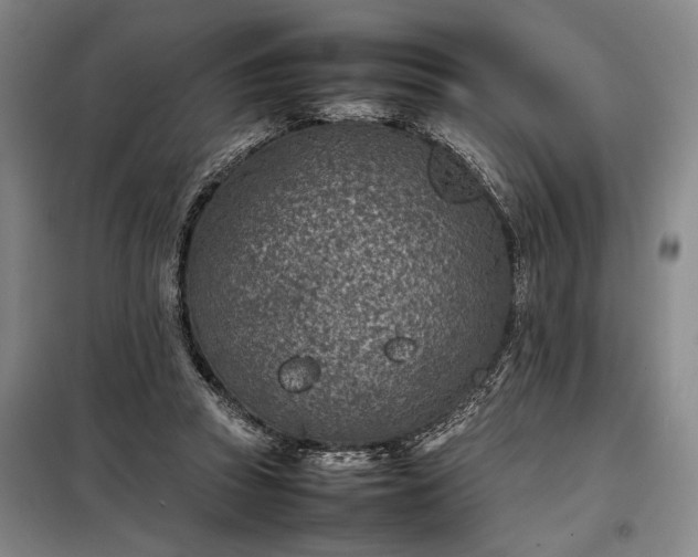 X0000098220353200805011239