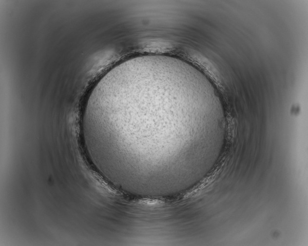 X0000098220354200805011239