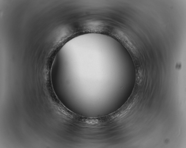 X0000098220355200805011239