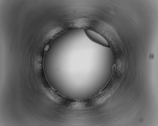 X0000098220356200805011239