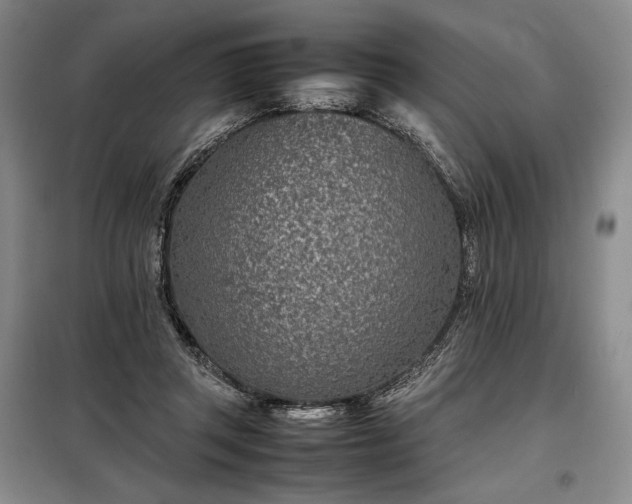 X0000098220357200805011239