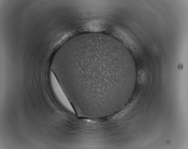 X0000098220358200805011239