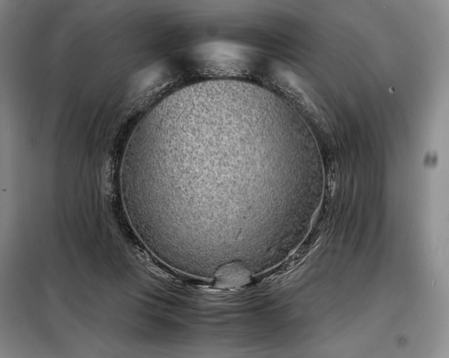 X0000098220359200805011239