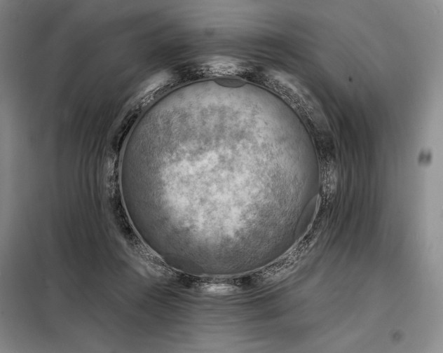 X0000098220360200805011239