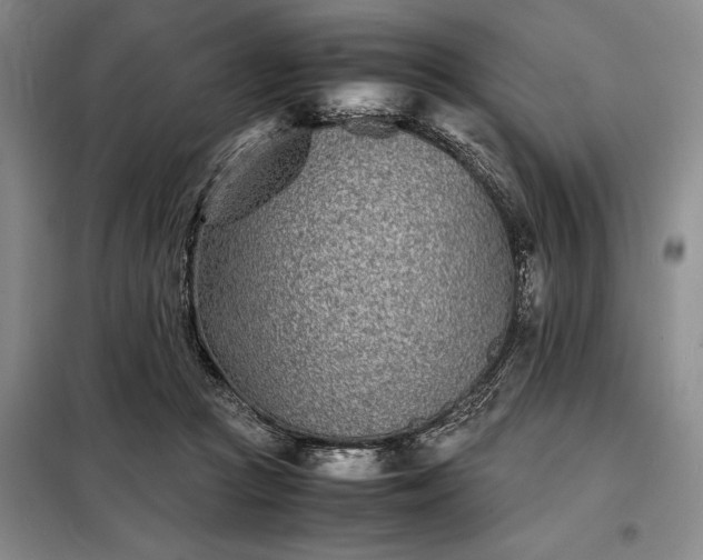 X0000098220361200805011239