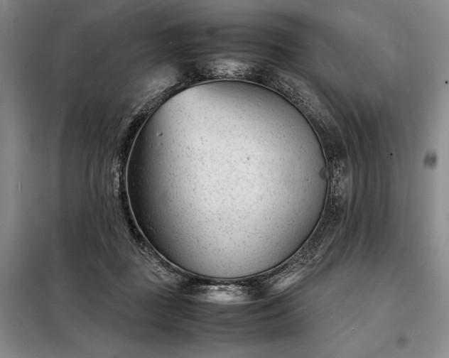 X0000098220363200805011239