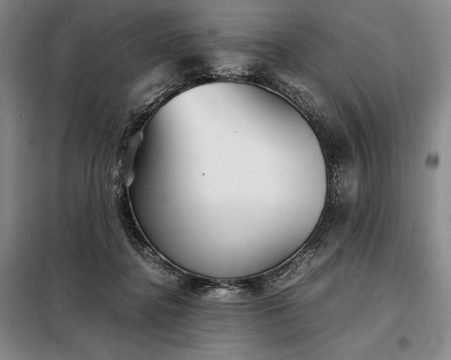 X0000098220364200805011239