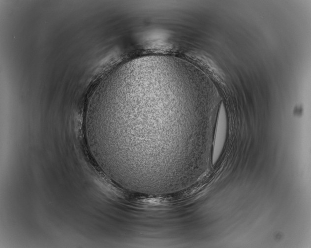 X0000098220365200805011239