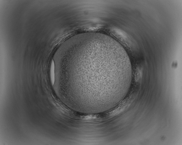 X0000098220366200805011239