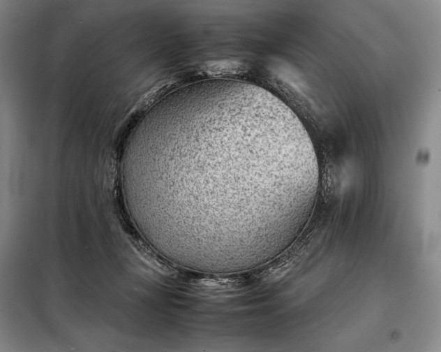 X0000098220367200805011239