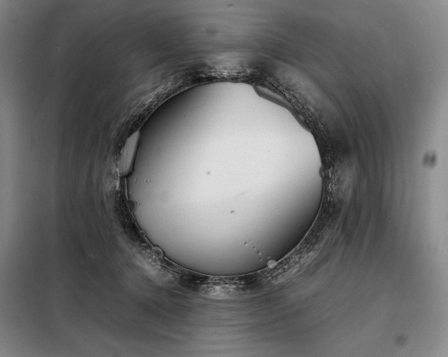 X0000098220368200805011239